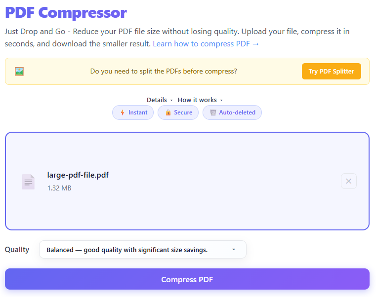Step 2 — File selected, ready to compress