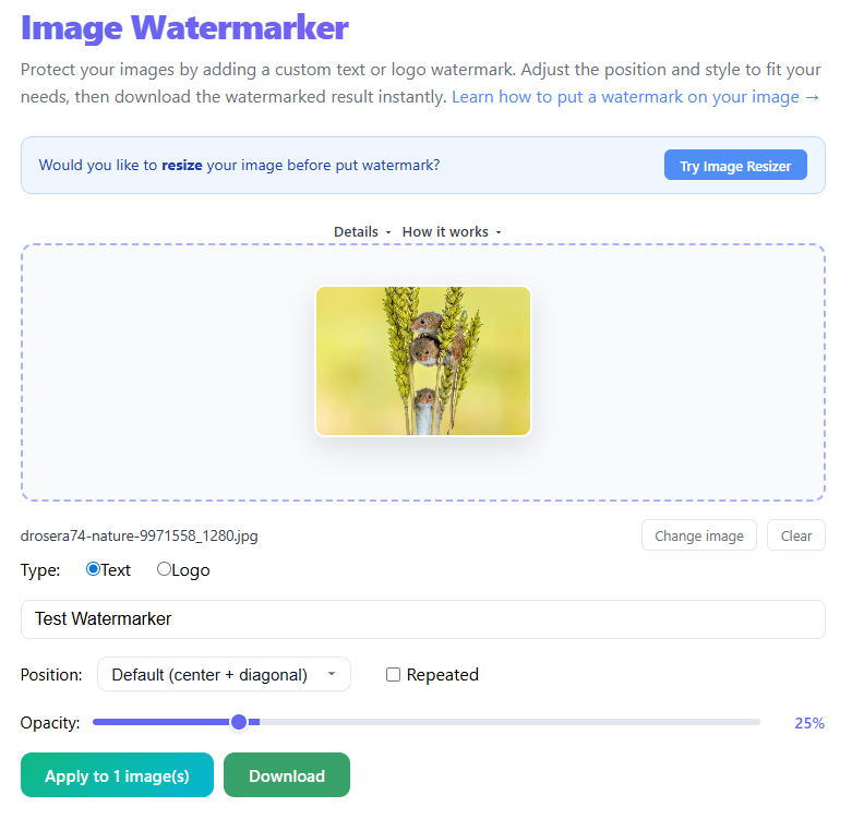 Download watermarked image